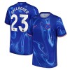 Maillot de Supporter Chelsea Gallagher 23 Domicile 2024-25 Pour Homme